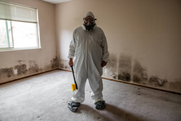 Best Mold Prevention Services  in Colbert, OK